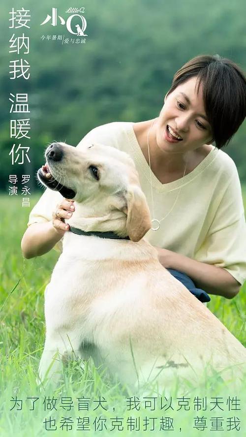 仿制危地马拉身份证
